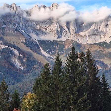 Apartment Unterhollenau Going am Wilden Kaiser Eksteriør billede