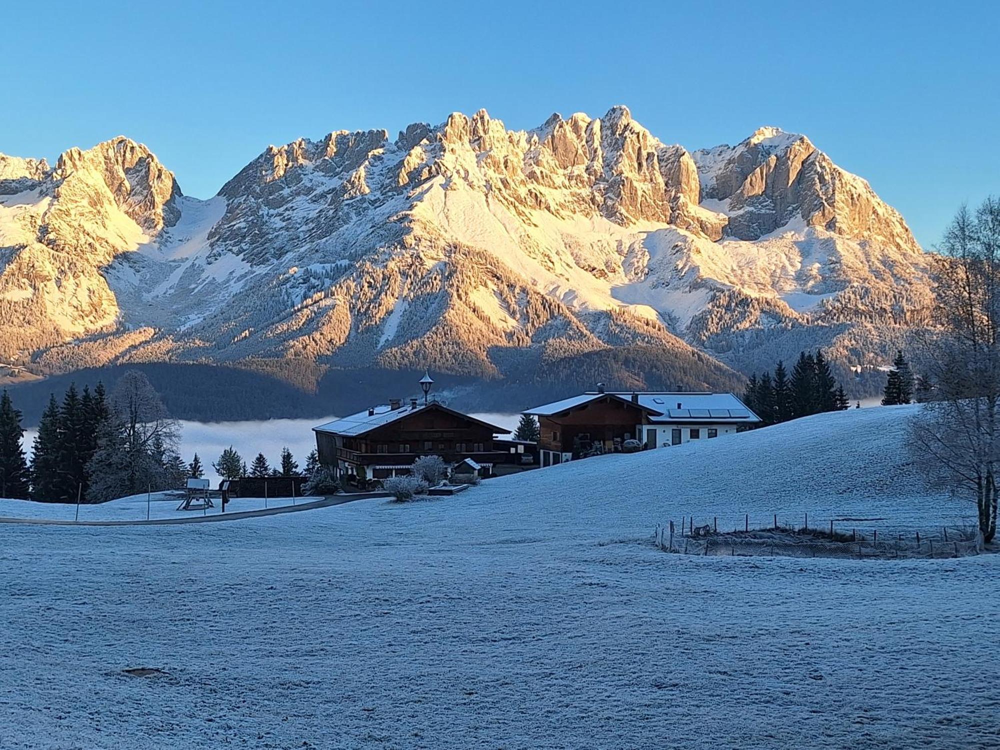 Apartment Unterhollenau Going am Wilden Kaiser Eksteriør billede